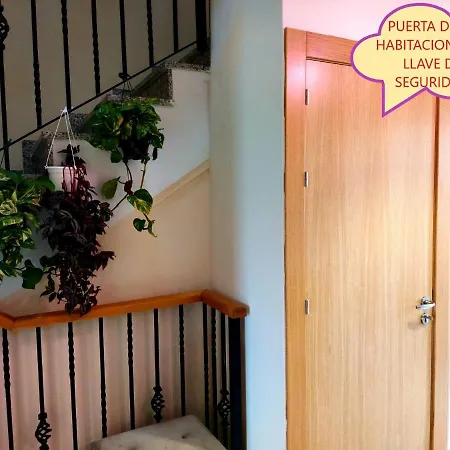 Privada Con Terraza Guest house